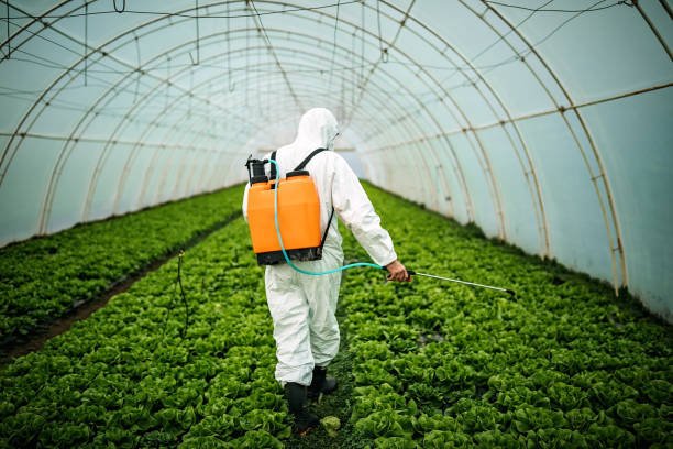 Best Emergency Pest Control  in Manito, IL