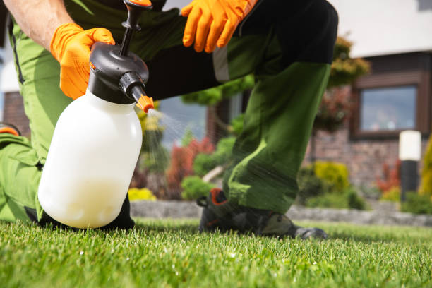 Best Pest Prevention Services  in Manito, IL