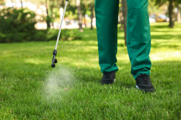 Best Commercial Pest Control Services  in Manito, IL