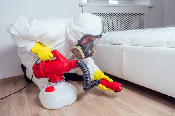Best Wasp Removal Services  in Manito, IL
