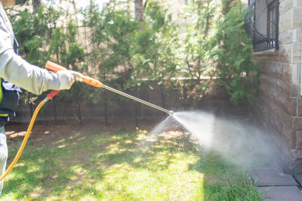 Best Mosquito Control Services  in Manito, IL