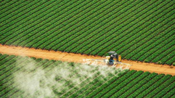 Best Ant Control Services  in Manito, IL