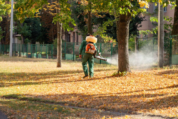 Best Cockroach Control Services  in Manito, IL