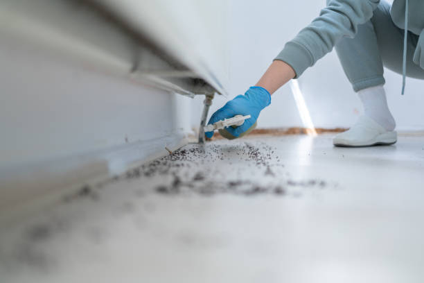 Best Local Pest Control Services  in Manito, IL