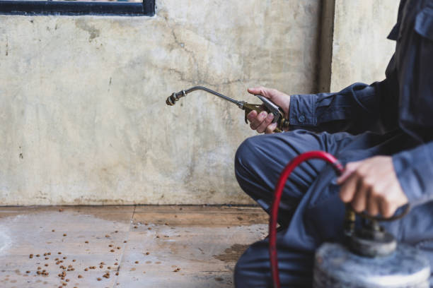 Pest Control for Restaurants in Manito, IL